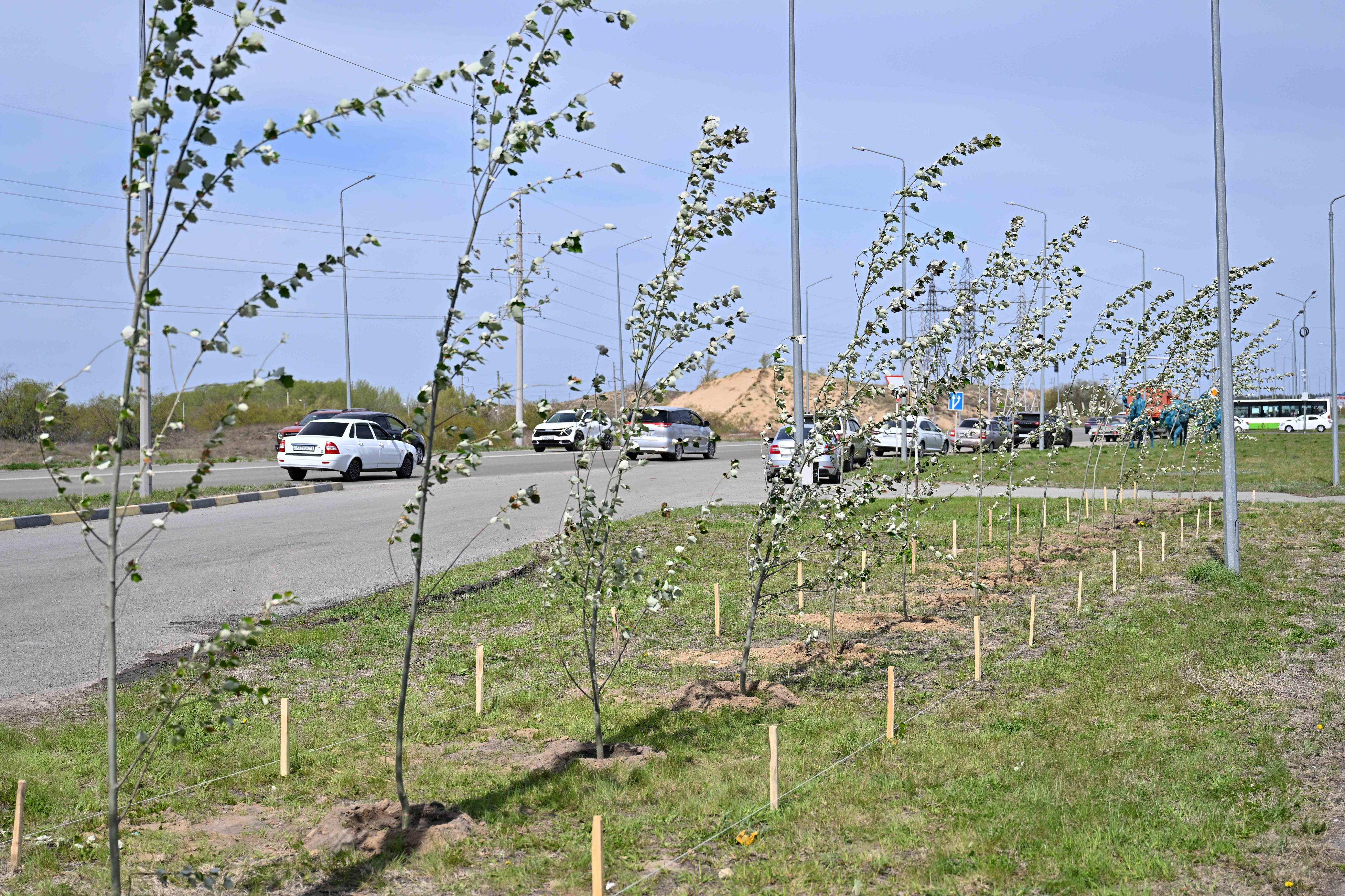 Облыс әкімі: Семейді жасыл желекті қалаға айналдыруымыз керек