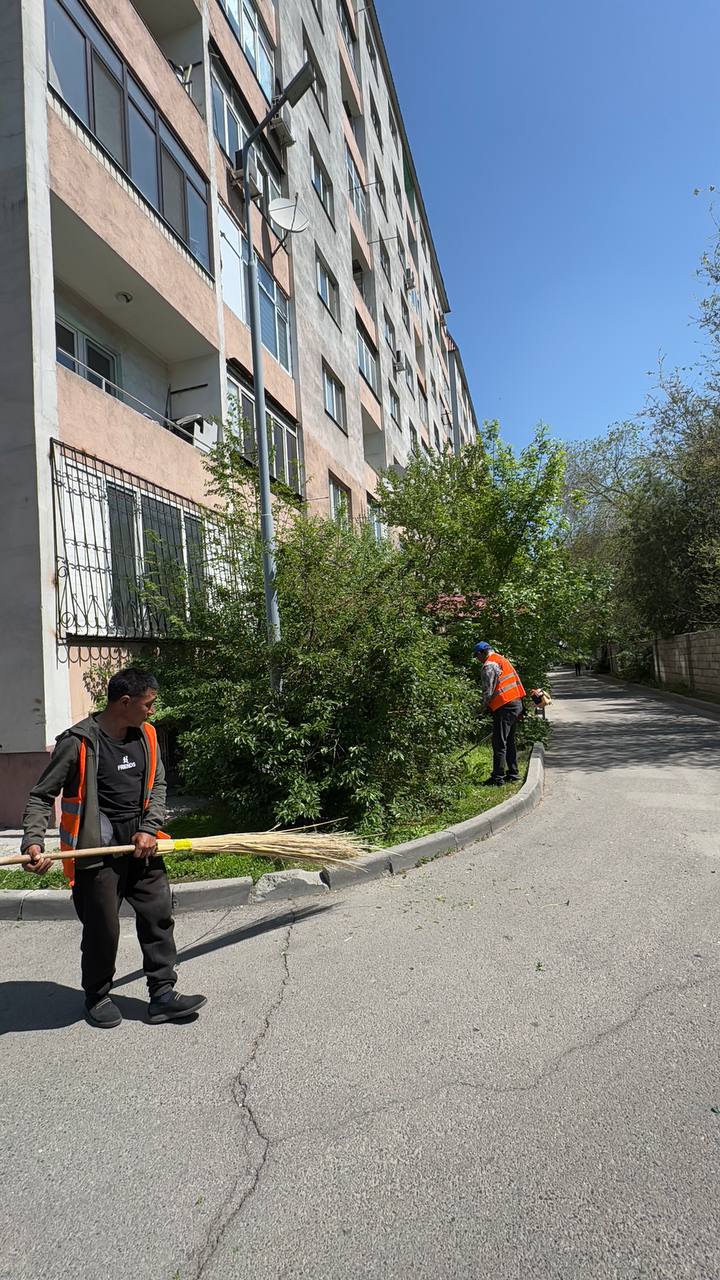 Проведены комплексные работы по благоустройству и уборке