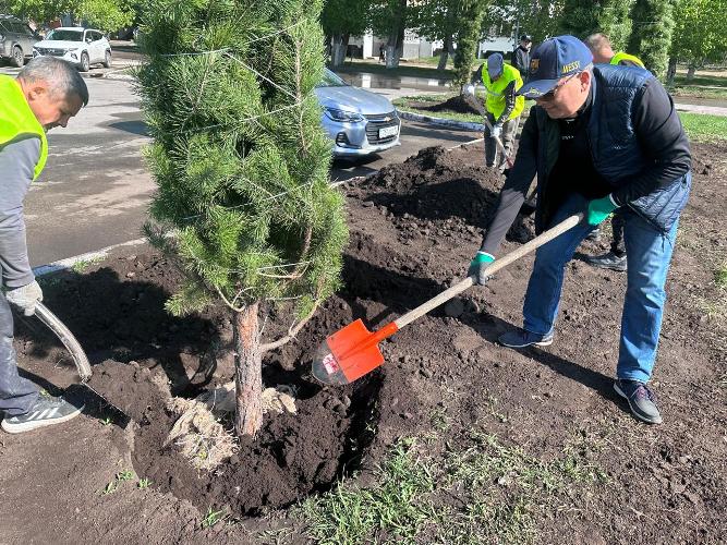 A large-scale landscaping campaign was held in Kazakhstan as part of the national program "Taza Kazakhstan"