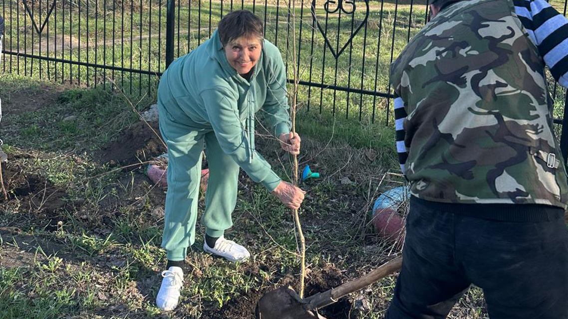 Алтайский ауылындағы Алтай саябағында көшеттер отырғызылды