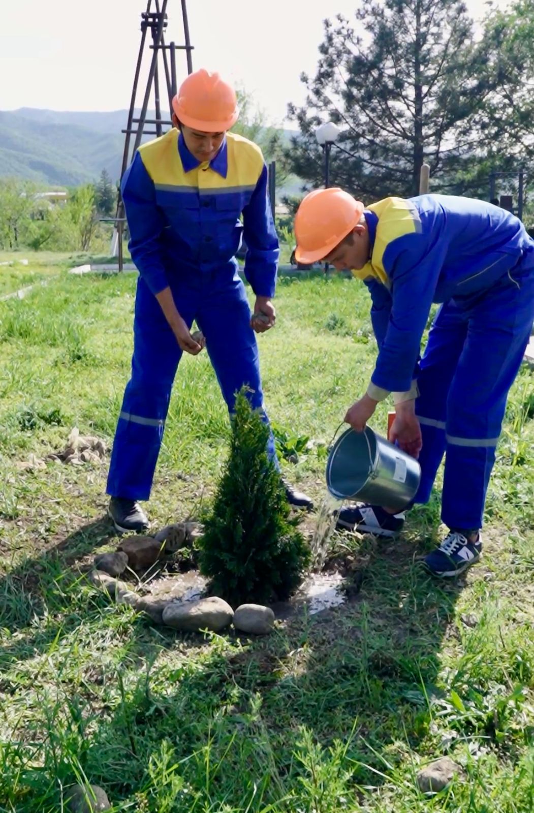 Еңбек – өркендеудің негізі: Алматы облысында «Жұмысшы мамандықтар аллеясы» ашылды