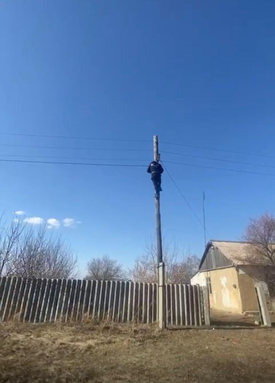 Көше жарығы