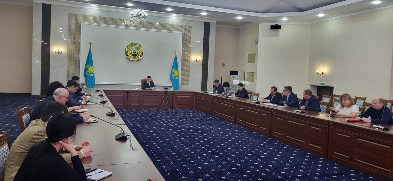 Мүгедектігі бар адамдар істері жөніндегі үйлестіру кеңесінің отырысы