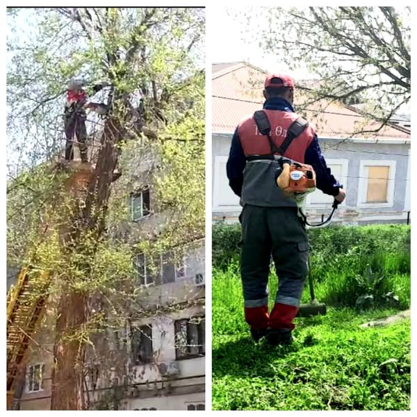 ӘЛ-ФАРАБИ АУДАНЫ АУМАҒЫНДА САНИТАРЛЫҚ ҚЫРҚУ ЖҰМЫСТАРЫ ЖҮРГІЗІЛУДЕ