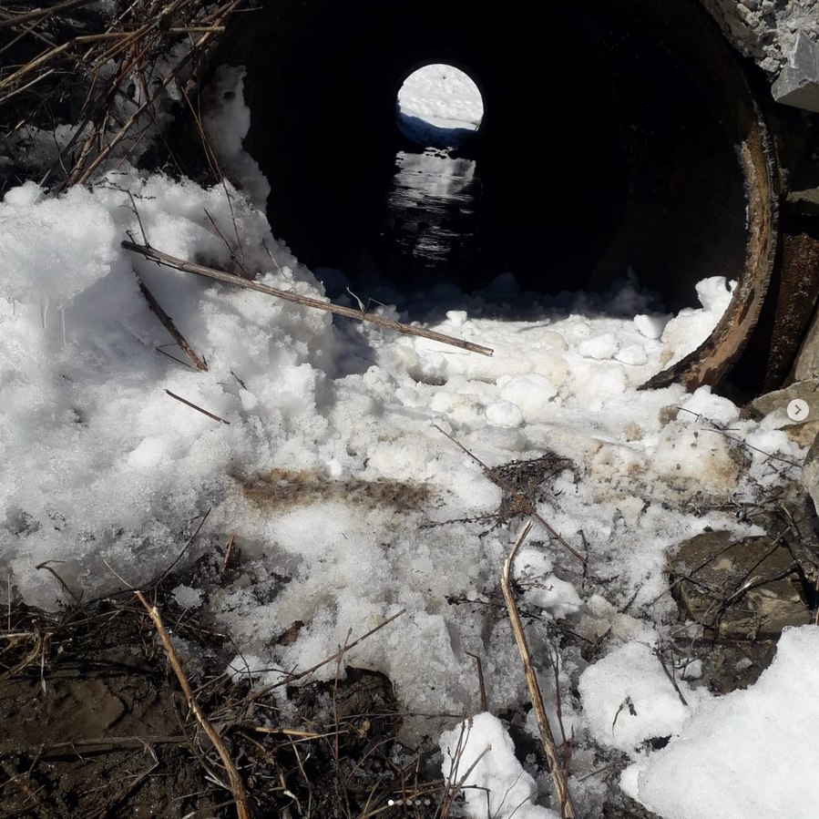 Соловьево ауылдық округінің аумағында су тасқыны жағдайының алдын алу мақсатында тазалау жұмыстары жүргізілді: