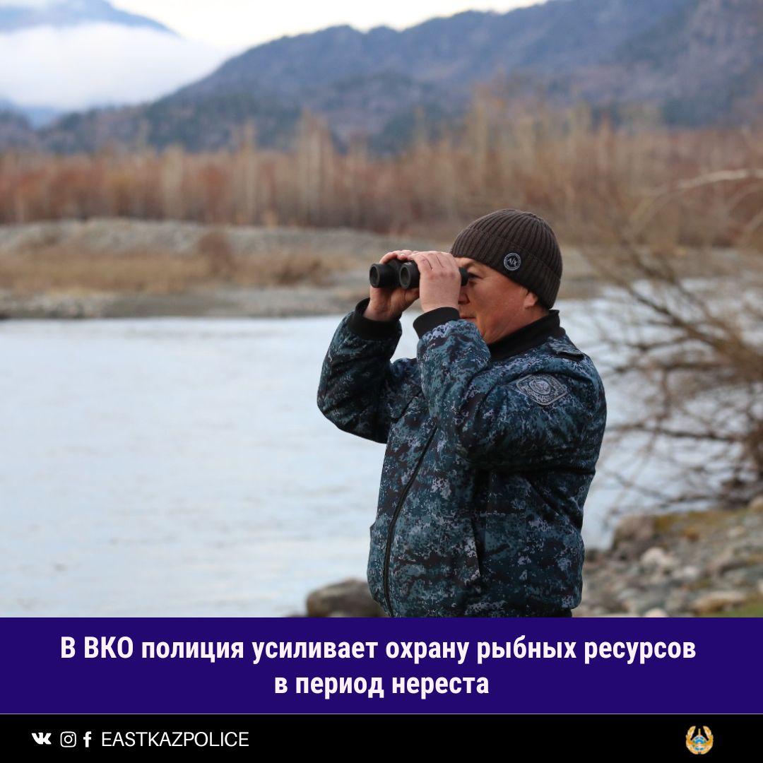 В ВКО полиция усиливает охрану рыбных ресурсов в период нереста