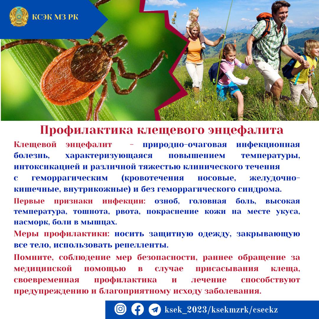 Профилактика клещевого энцефалита