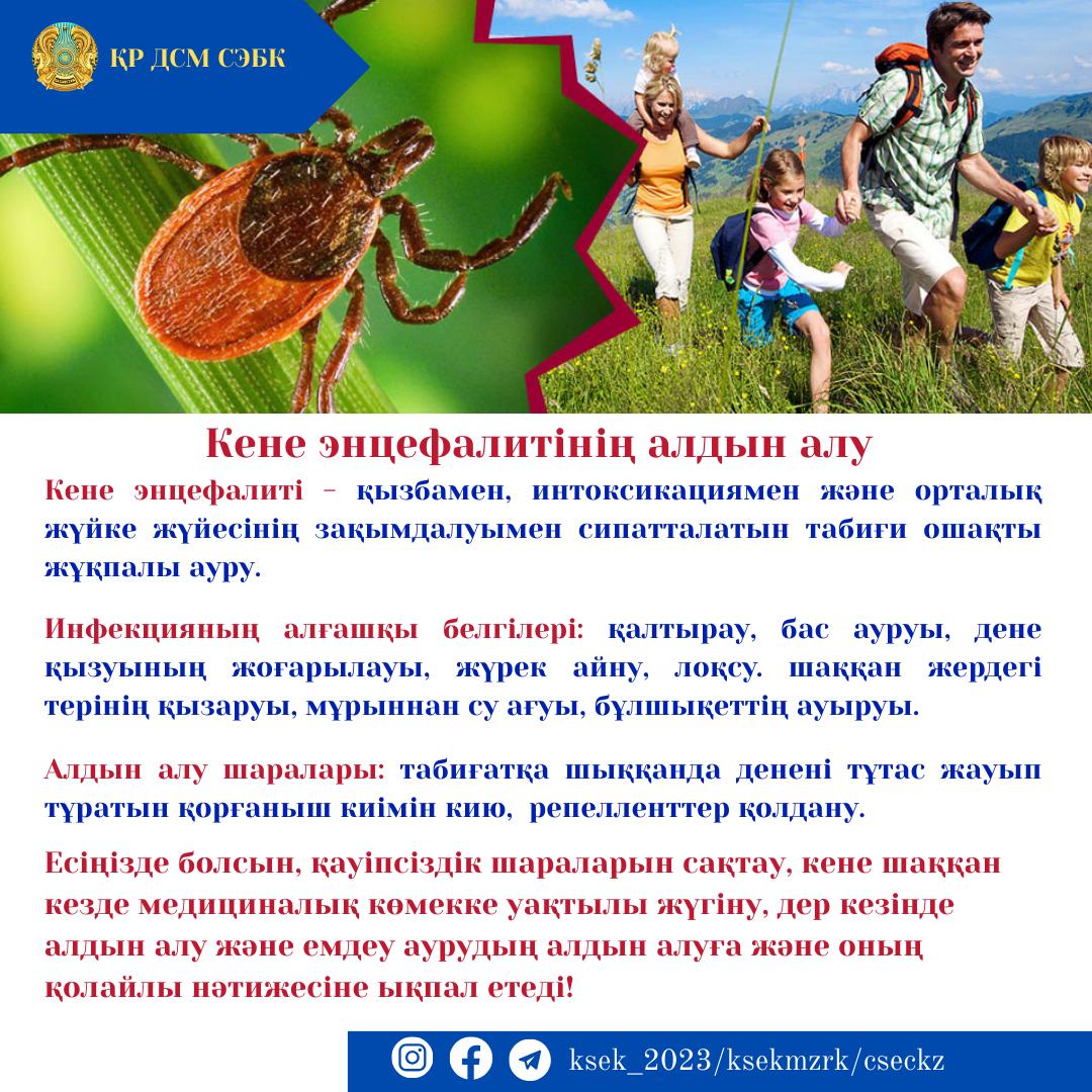 Әйелдерді алдау және порно