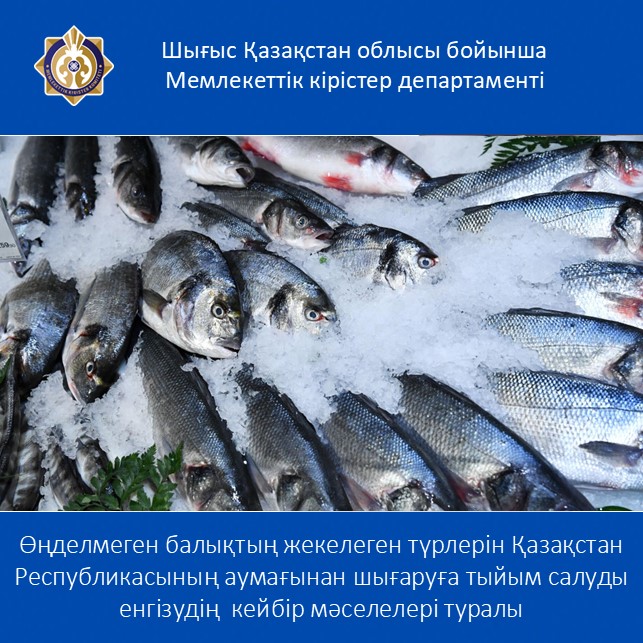 Өңделмеген балықтың жекелеген түрлерін Қазақстан Республикасының аумағынан шығаруға тыйым салуды енгізудің кейбір мәселелері туралы
