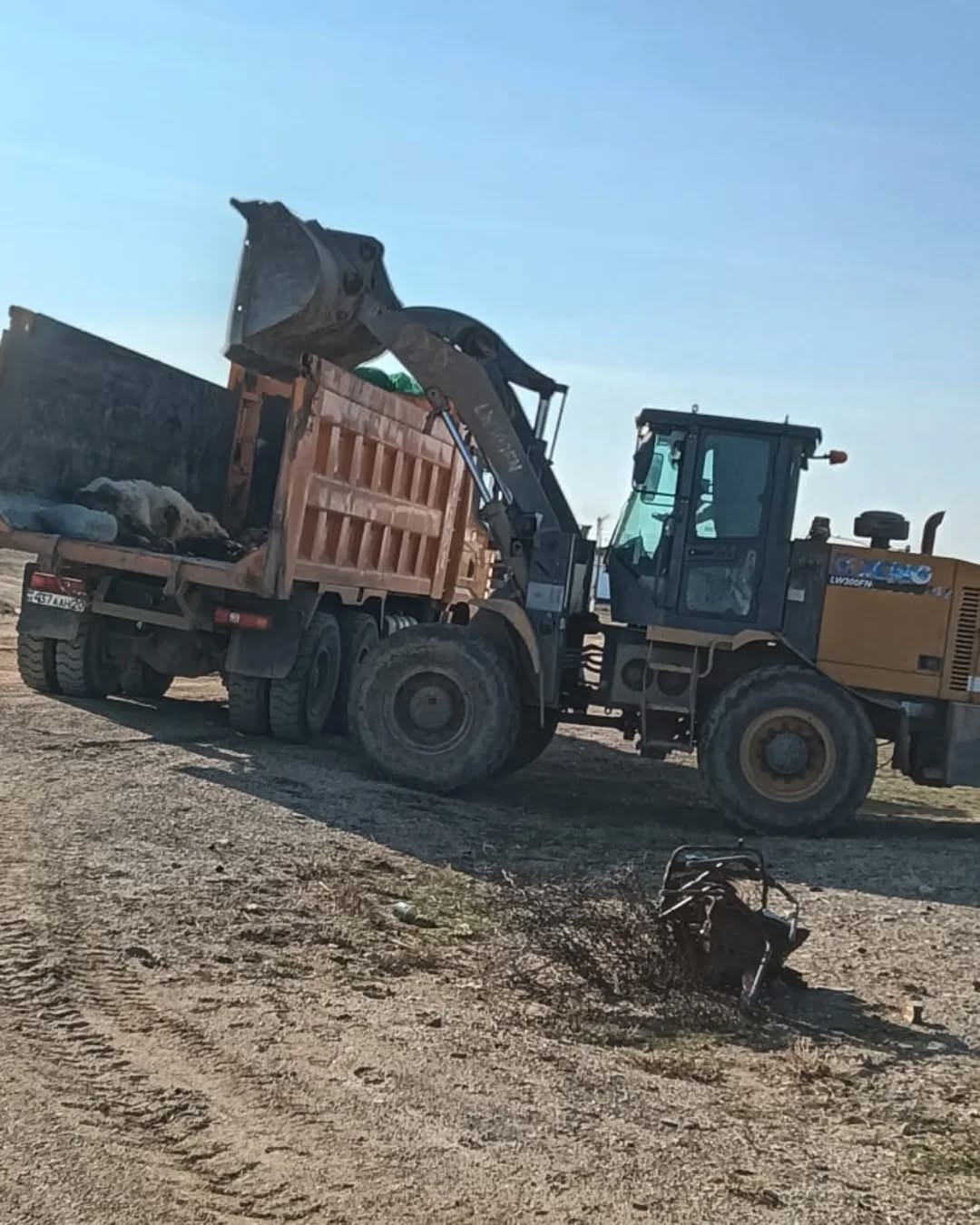 Малшыбай ауылында үй жануарларының өлекселерін жинау және оны жою жұмыстары жүргізілді