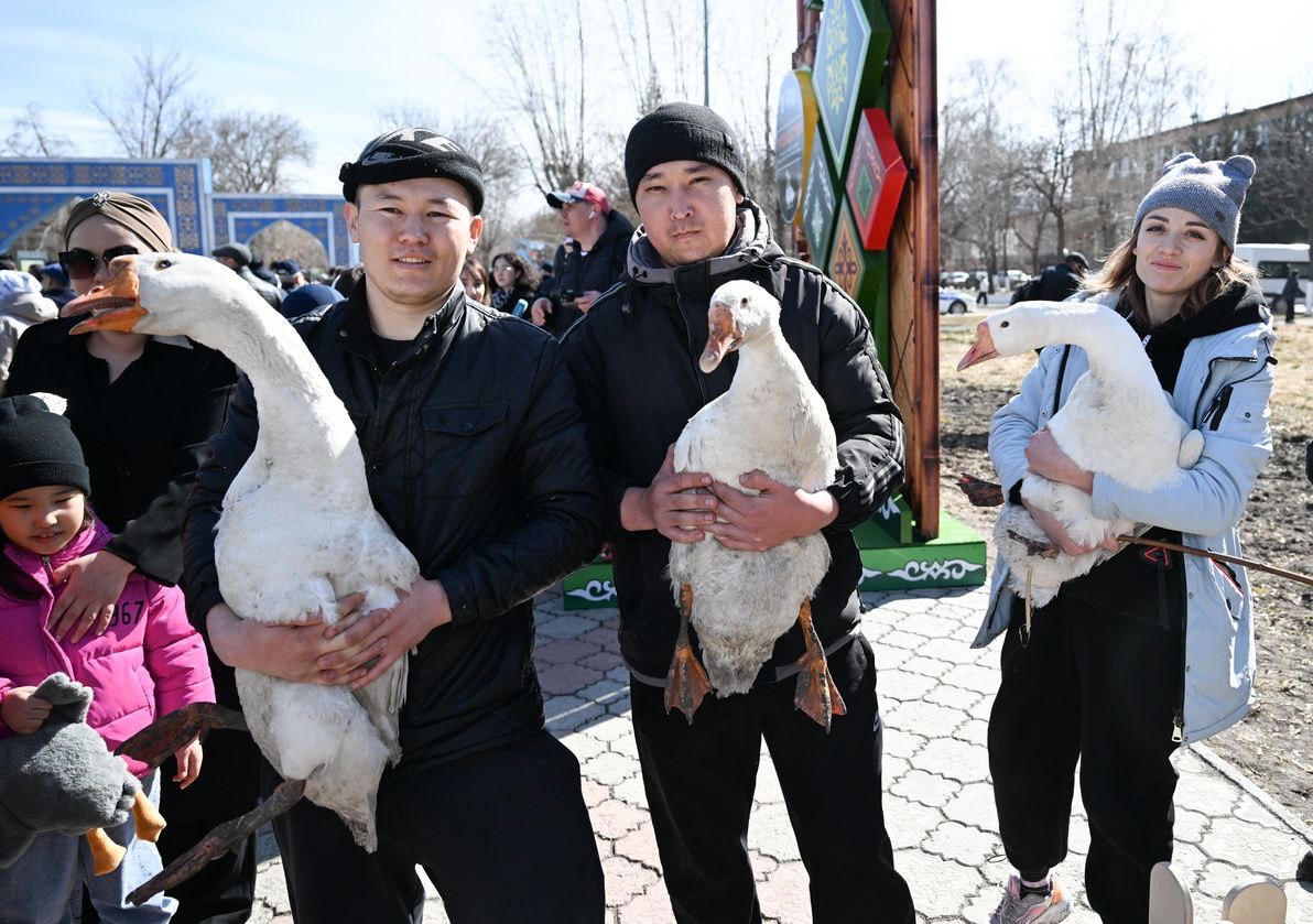 В СКО прошел первый международный фестиваль по гусеводству