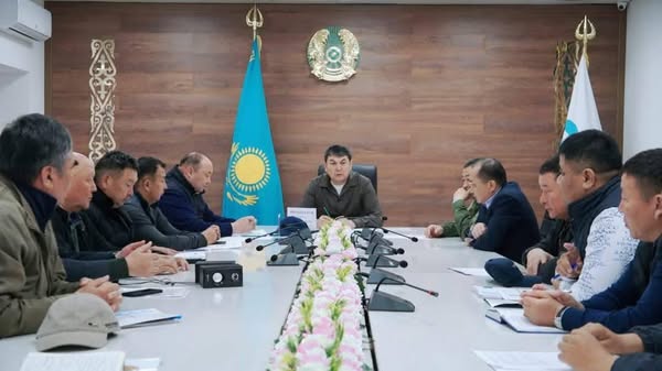 САРЫАҒАШ:АЙМАҚТАРДА ШЕГІРТКЕГЕ ҚАРСЫ ДӘРІЛЕУ ШАРАЛАРЫ КҮШЕЙТІЛДІ