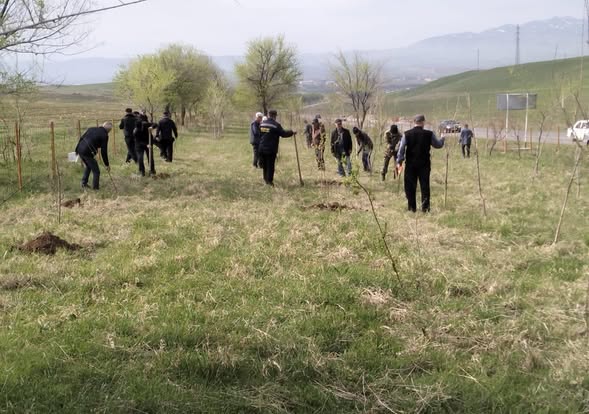 ТҮРКІСТАН: ТӨЛЕБИДЕ ӨТКЕН ТАЗАЛЫҚ ШАРАСЫНДА 23 ТОННА ҚОҚЫС ШЫҒАРЫЛДЫ