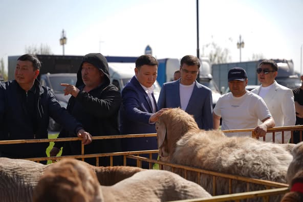 ТҮРКІСТАН ОБЛЫСЫНДА МАЛ ШАРУАШЫЛЫҒЫНЫҢ ХАЛЫҚАРАЛЫҚ КӨРМЕСІ ӨТТІ