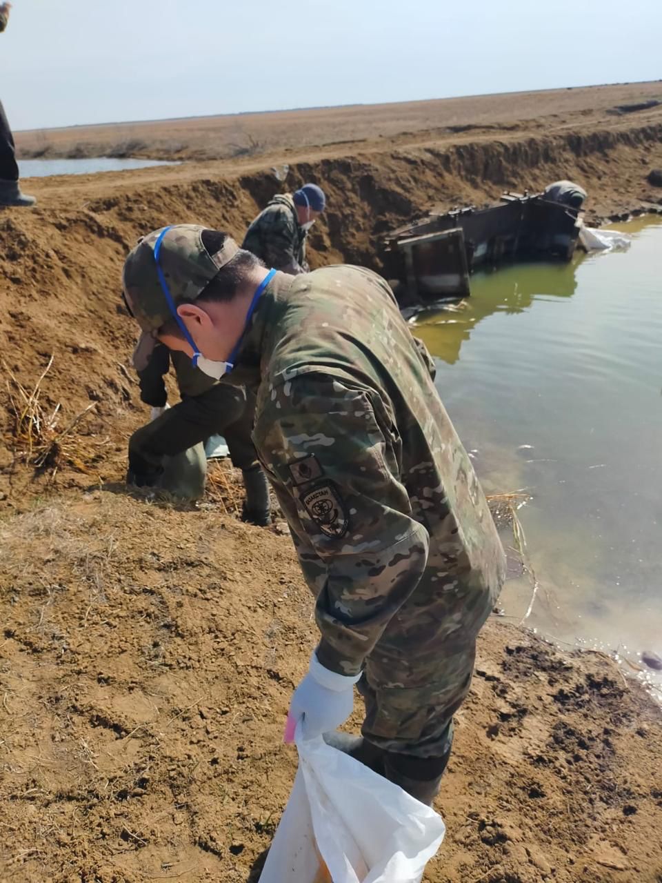В Костанайской области зафиксирован замор рыбы на водоёме Татыр