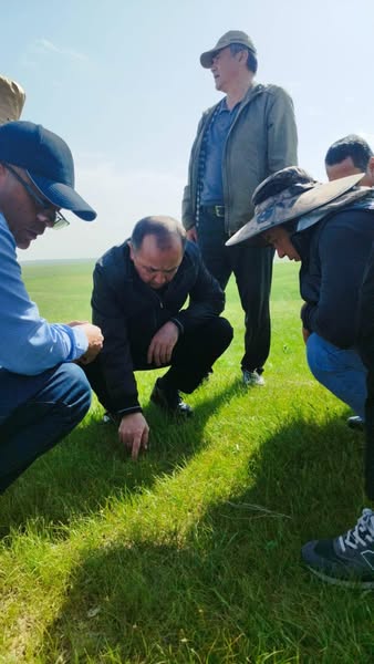 САРЫАҒАШ: АУДАНДА ШЕГІРТКЕ ЗИЯНКЕСІМЕН КҮРЕС ҚАРҚЫНДЫ ЖҮРУДЕ