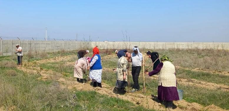 ШАРДАРА: «ЖАСЫЛ АУЛА» АКЦИЯСЫ ҰЙЫМДАСТЫРЫЛДЫ