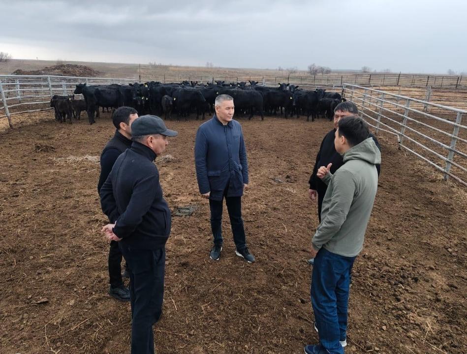 Ауыл шаруашылығы вице-министрі Аманғали Бердалин Жетісу облысына іссапармен келді