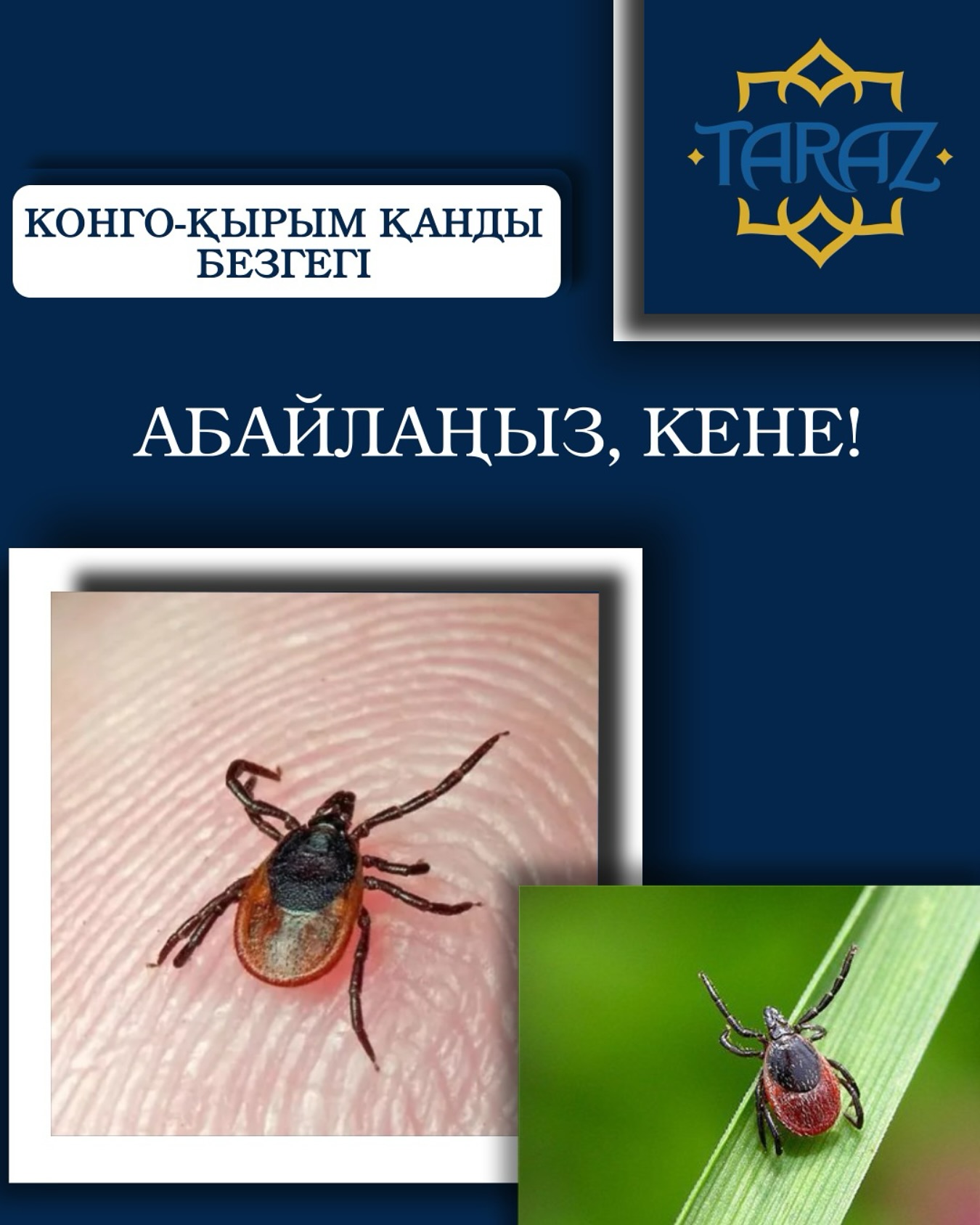 АБАЙЛАҢЫЗ, КЕНЕ!