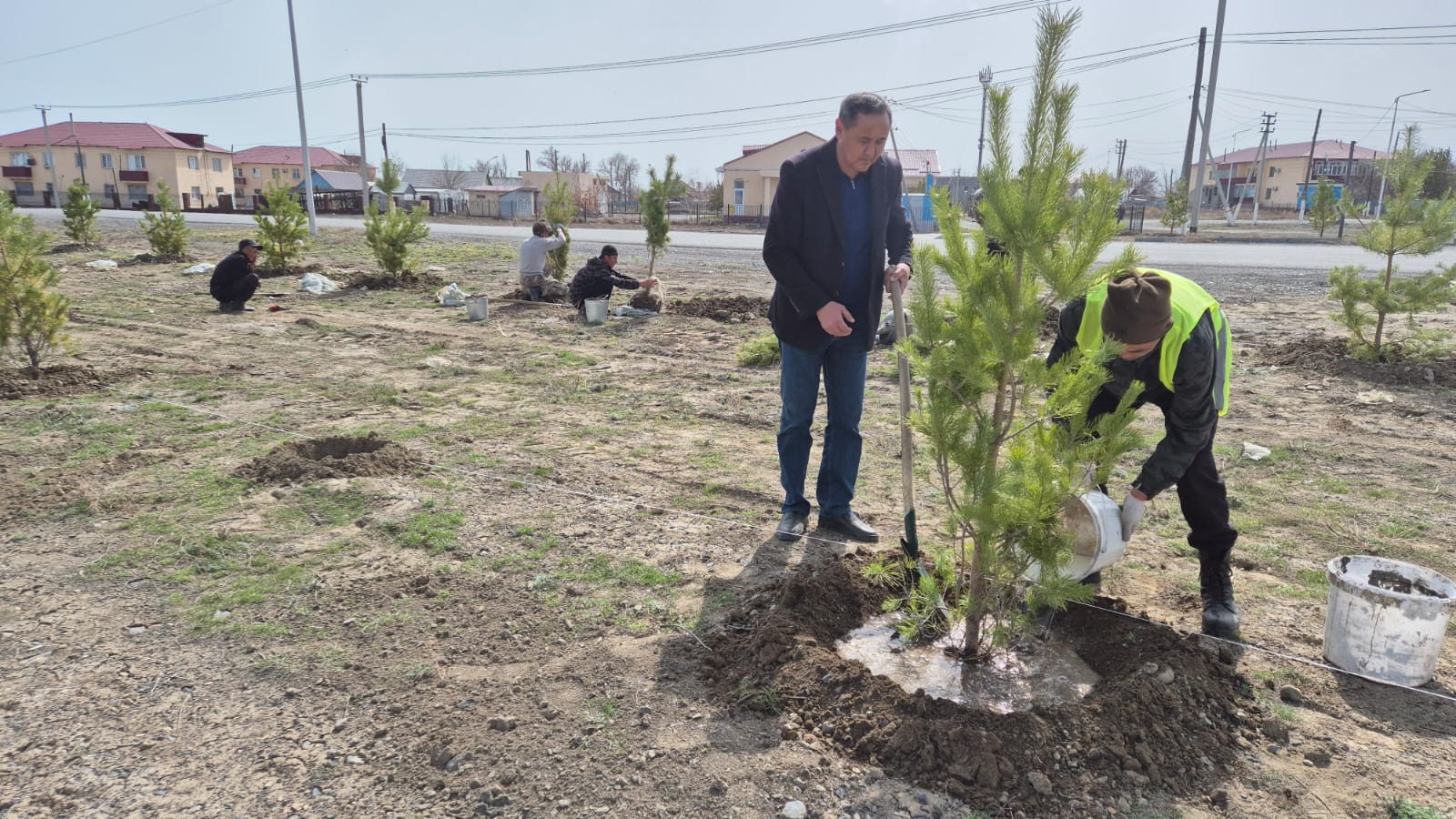 Ақши ауылында 400 түп ағаш отырғызылды