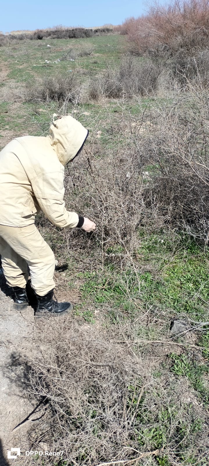 Жамбыл облысында Конго-Қырым геморрагиялық қызбасы бойынша эпидемиологиялық маусымдағы іс-шаралар туралы