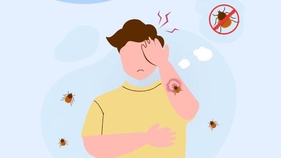 Клещевой энцефалит: как уберечься от укусов насекомых?