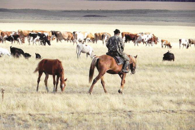 ЖЫМПИТЫЛЫҚТАР НАЗАРЫНА!