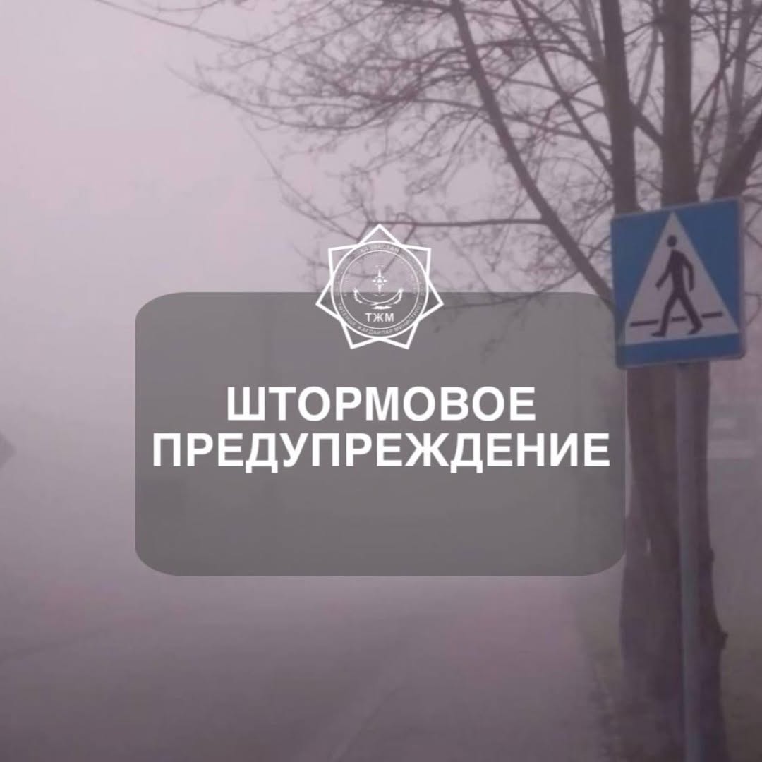 📍21 қаңтарда таңертең және күндіз Қостанай облысының солтүстігінде, шығысында қатты қар жауады