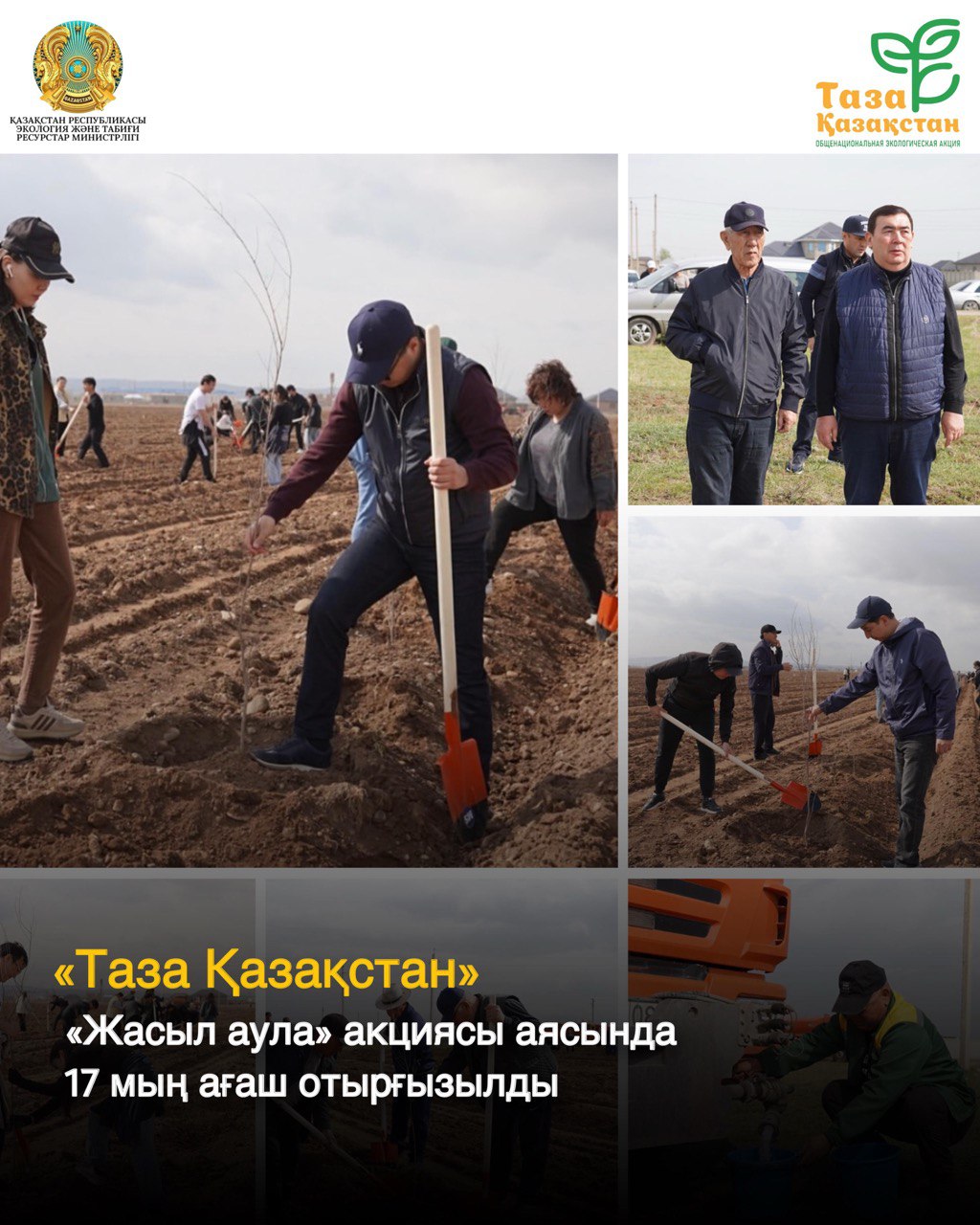 «Таза Қазақстан»: «Жасыл аула» акциясы аясында 17 мың ағаш отырғызылды