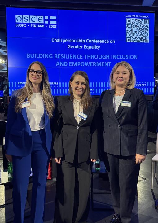 Kazakhstan's Achievements in Promoting Gender Equality Presented at OSCE Conference in Vienna