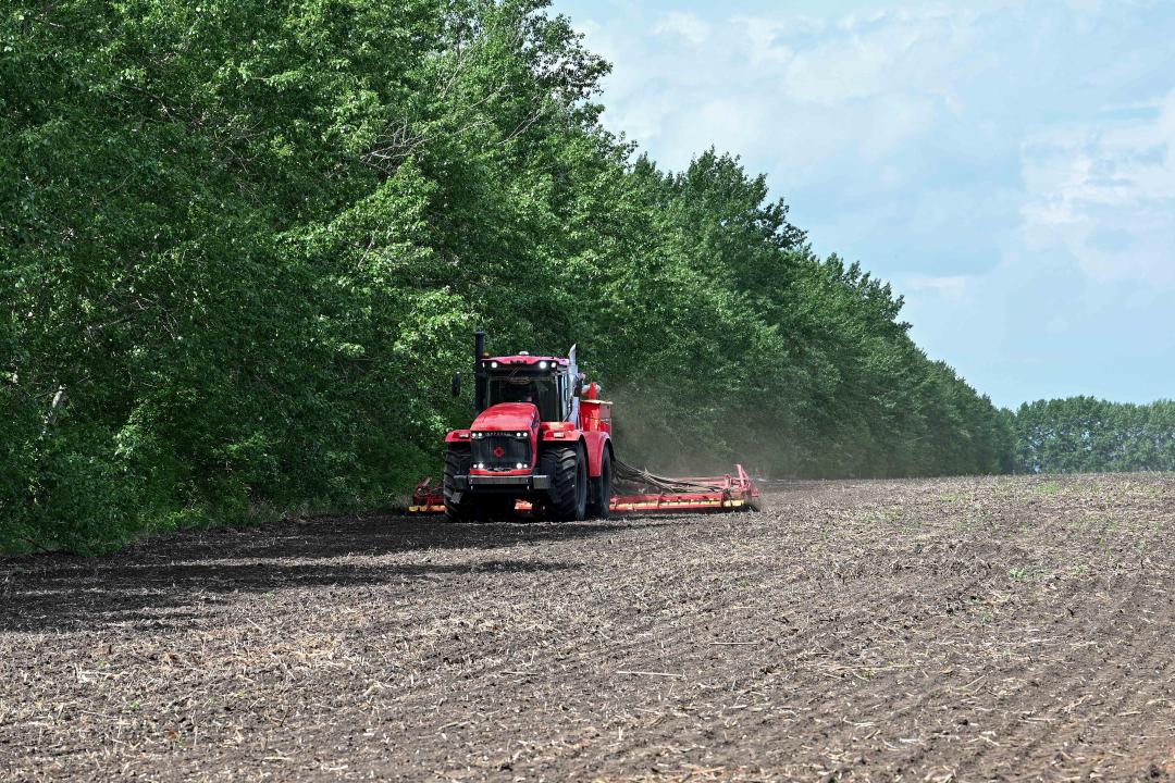 Бородулиха ауданында көктемгі егіс қарқынды жүргізіліп жатыр