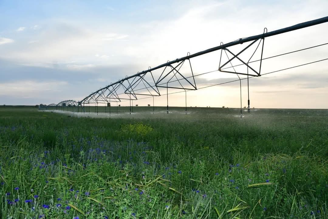 ТҮРКІСТАН ОБЛЫСЫНДА ЖЫЛ БАСЫНАН БЕРІ 11,3 МЫҢ ГЕКТАРҒА СУ ҮНЕМДЕУ ТЕХНОЛОГИЯСЫ ЕНДІРІЛДІ