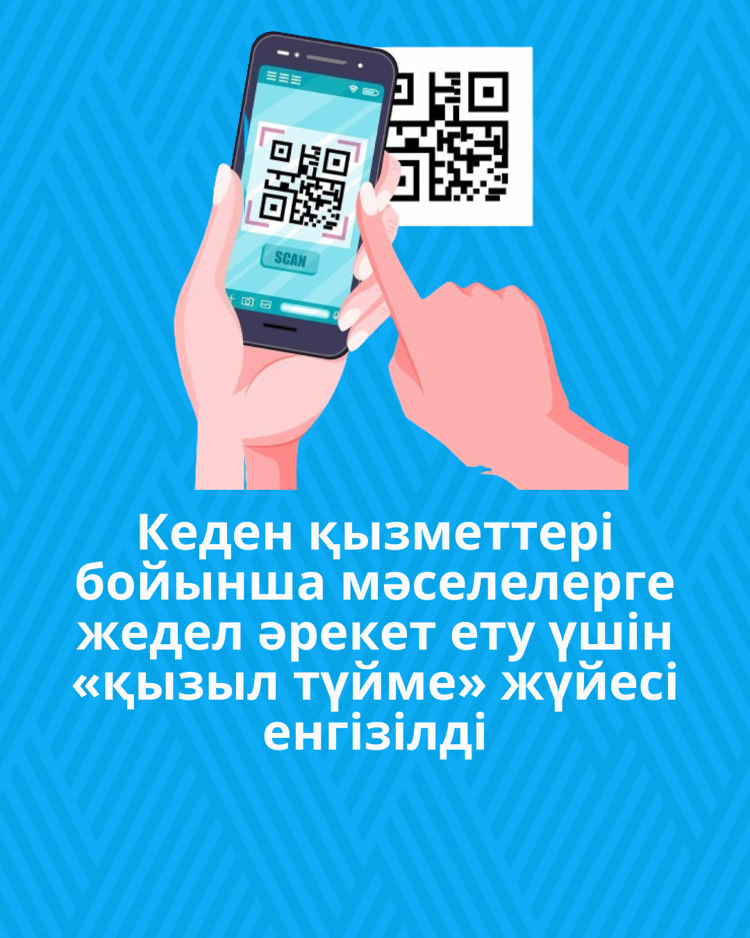 Кеден қызметтері бойынша мәселелерге жедел әрекет ету үшін «қызыл түйме» жүйесі енгізілді