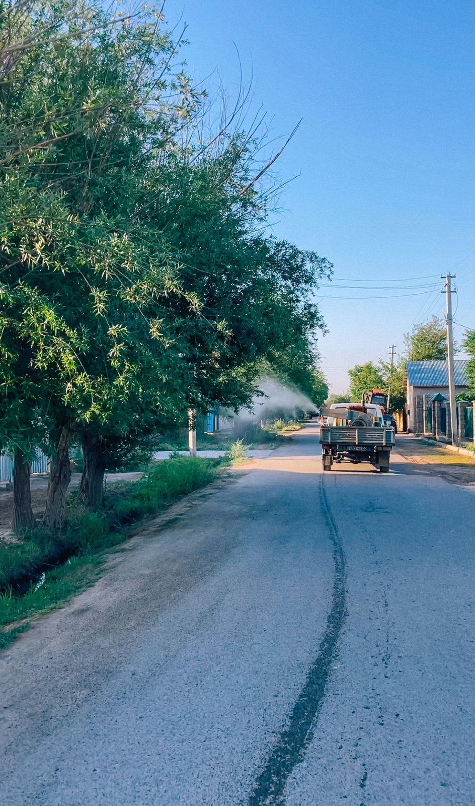 ТҮРКІСТАН: ШАРДАРАДА ШІРКЕЙГЕ ҚАРСЫ ЗАЛАЛСЫЗДАНДЫРУ ЖҰМЫСТАРЫ КҮШЕЙТІЛДІ