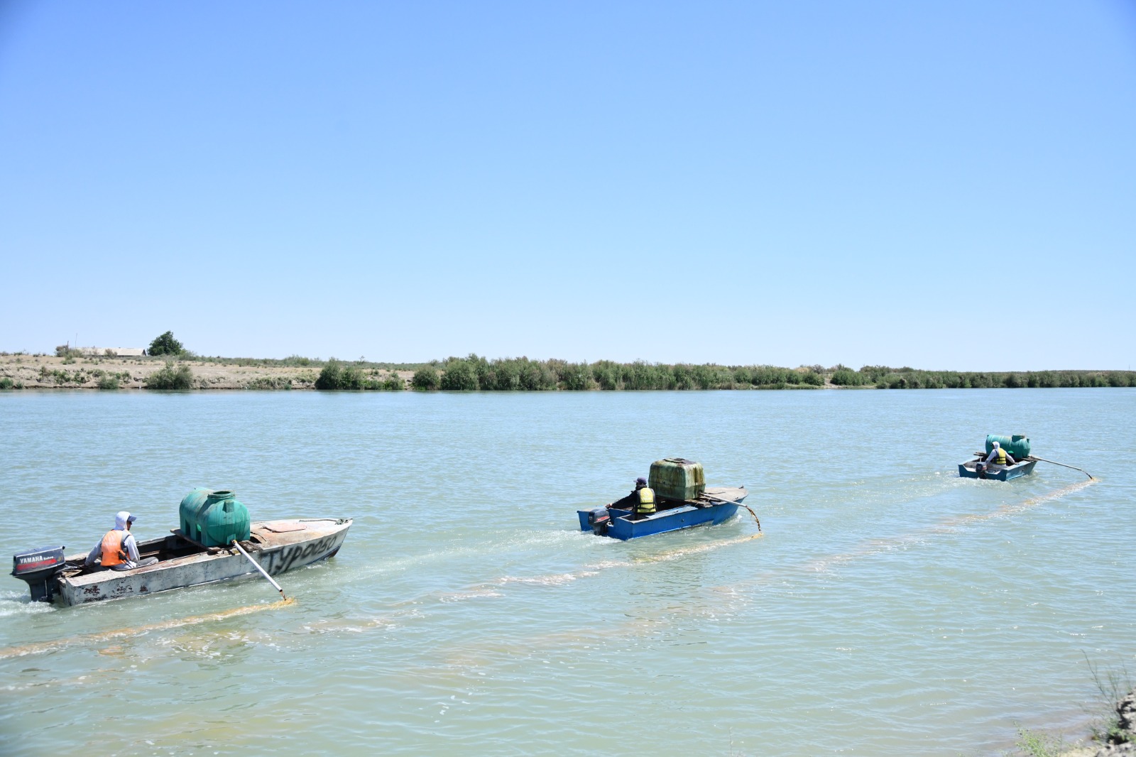 ОТЫРАР АУДАНЫНДА ШІРКЕЙГЕ ҚАРСЫ ЖҰМЫСТАР КҮШЕЙТІЛГЕН РЕЖИМДЕ ЖҮРГІЗІЛУДЕ