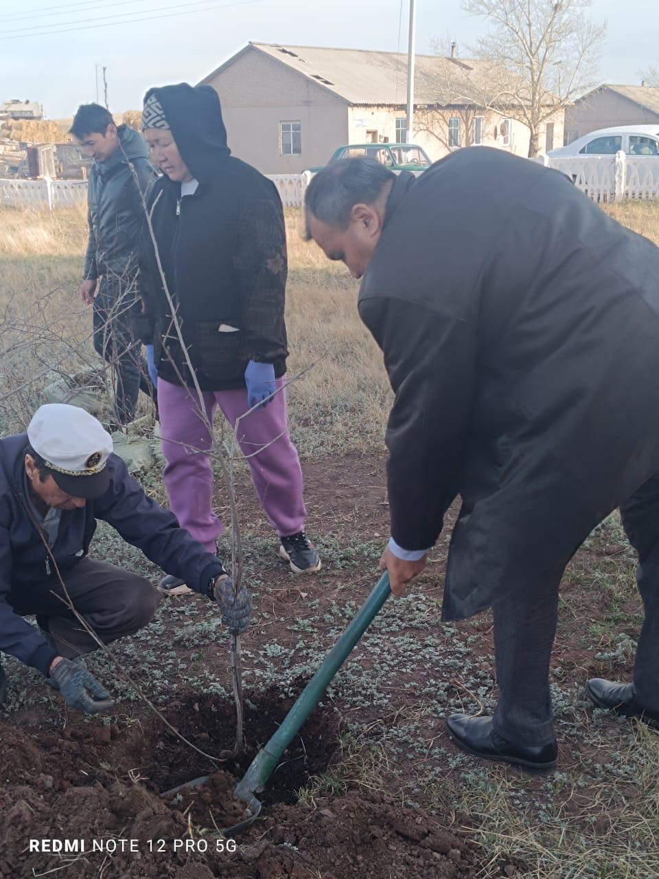 Көктемгі санитарлық тазарту, көгалдандыру және абаттандыру