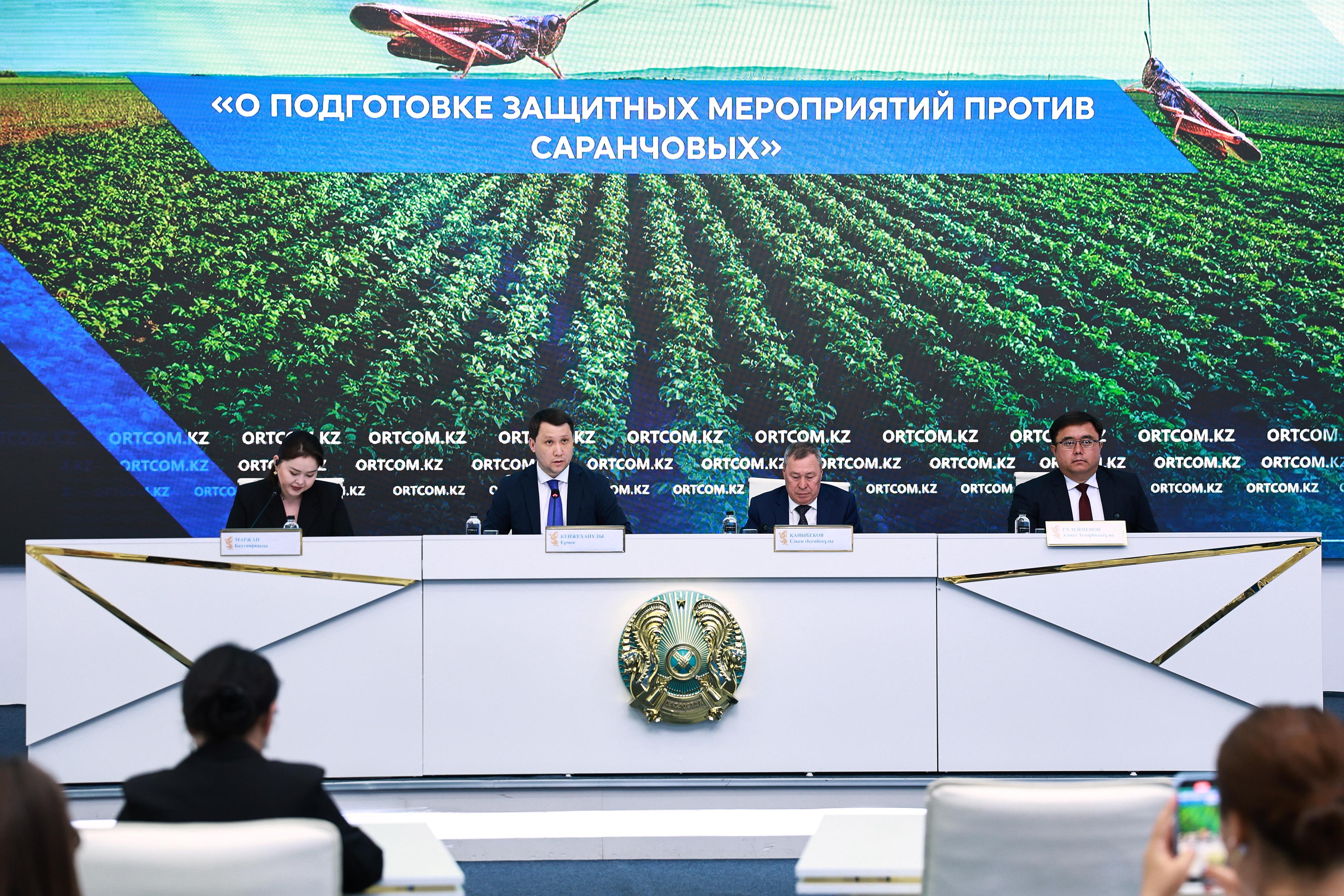 397,3 тыс. га сельхозугодий обработано против саранчовых в Жамбылской и Туркестанской областях