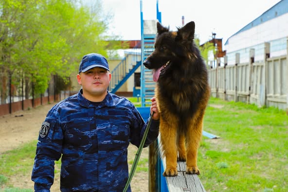 Айбар мен Рокки: сенімге негізделген серіктестік