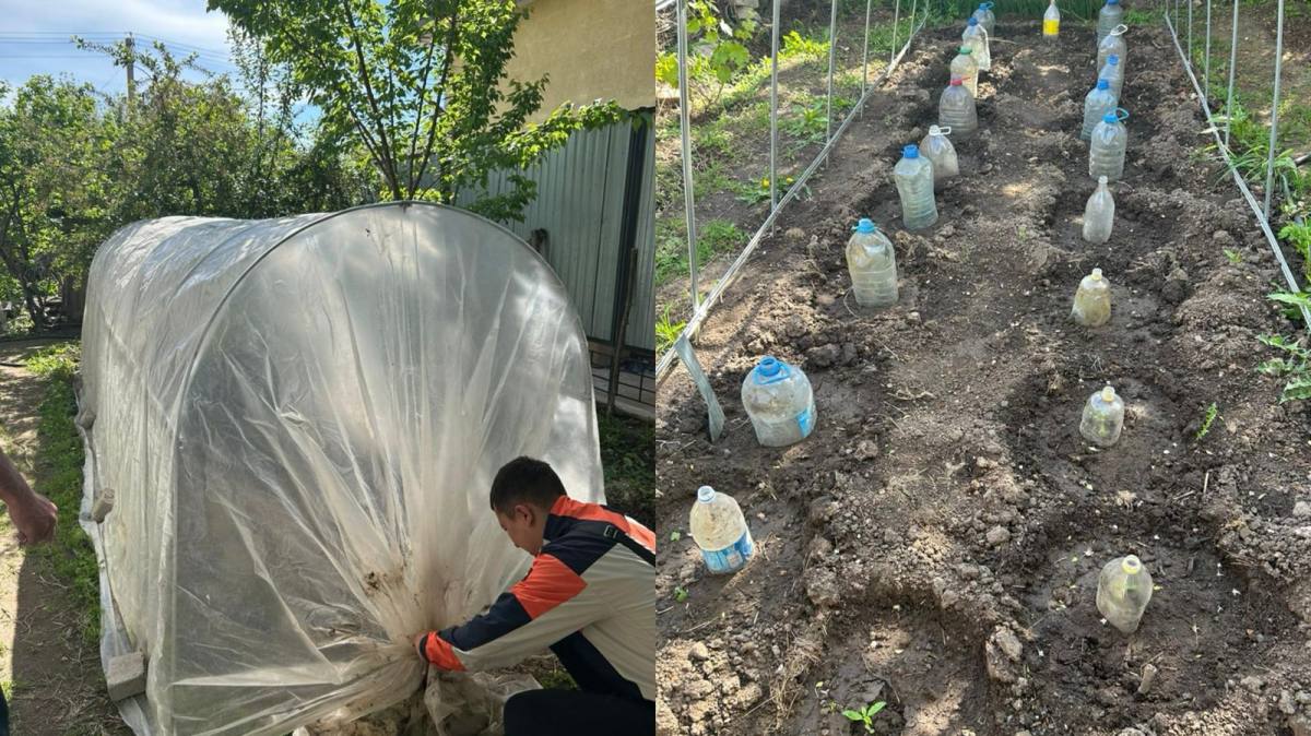 Оралда полицейлер есірткі заттары бар өсімдіктерді заңсыз өсіру фактісін анықтады