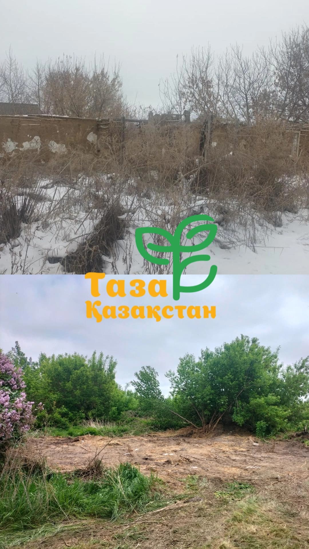 Таза Қазақстан