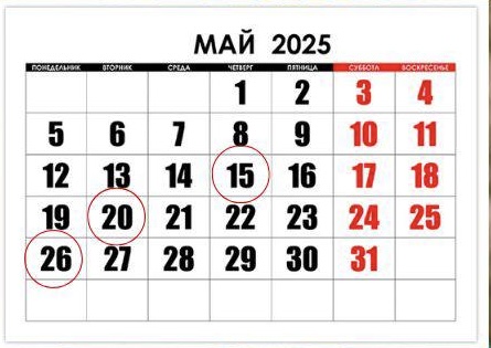 Мамырға арналған салық күнтізбесі