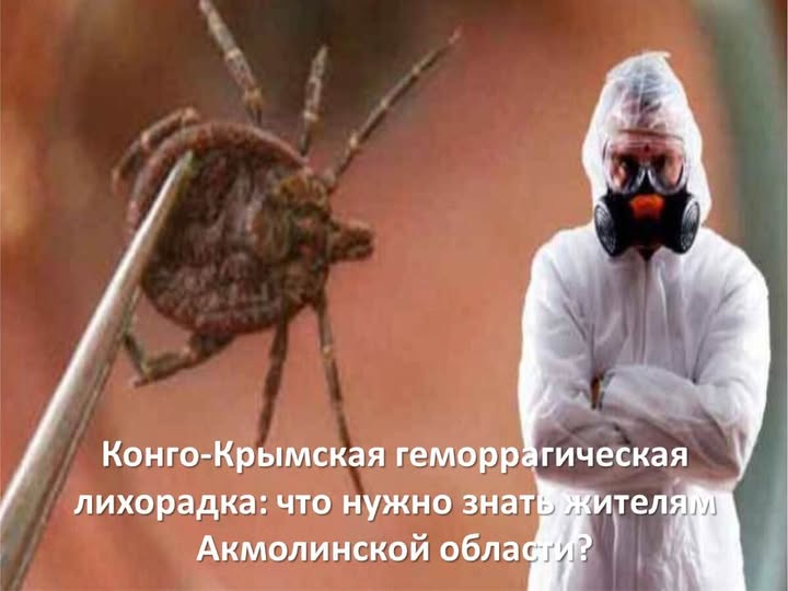 Конго-Крымская геморрагическая лихорадка: что нужно знать жителям Акмолинской области?