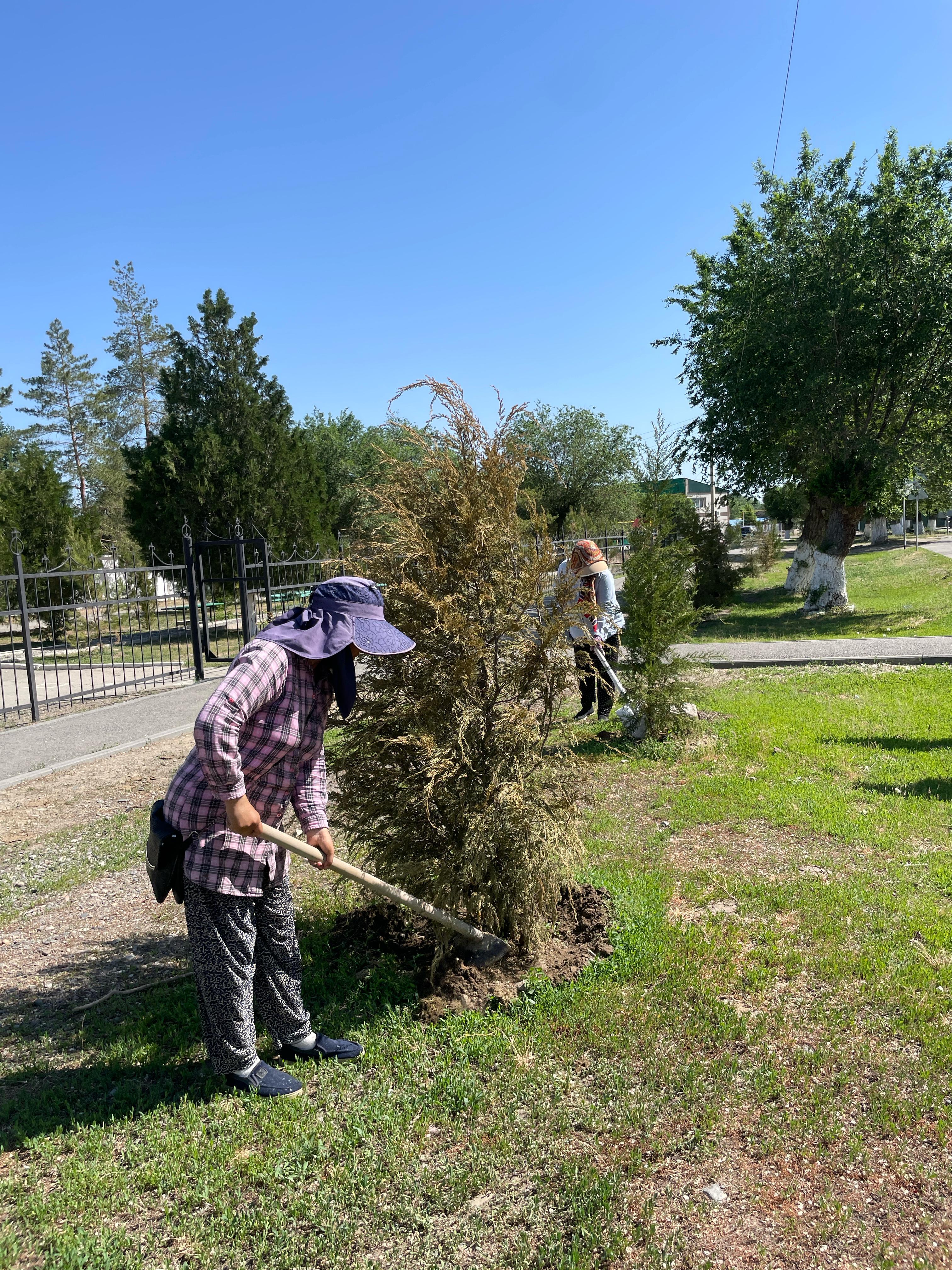 Қаратал ауданында «Таза Қазақстан» экологиялық акциясы аясында кең көлемді сенбілік өтті