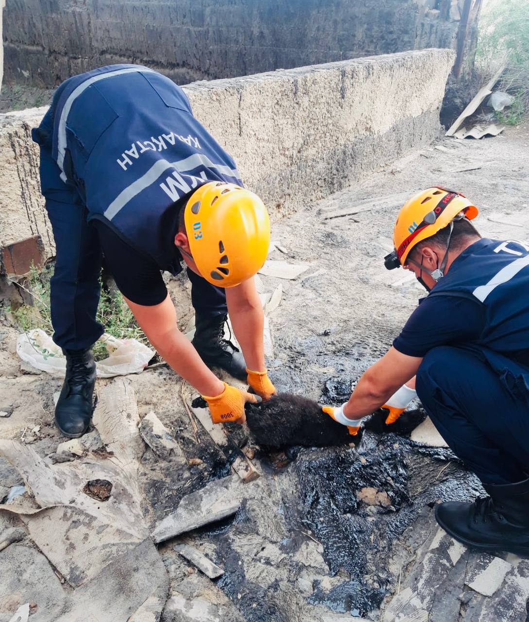 Итті құтқару