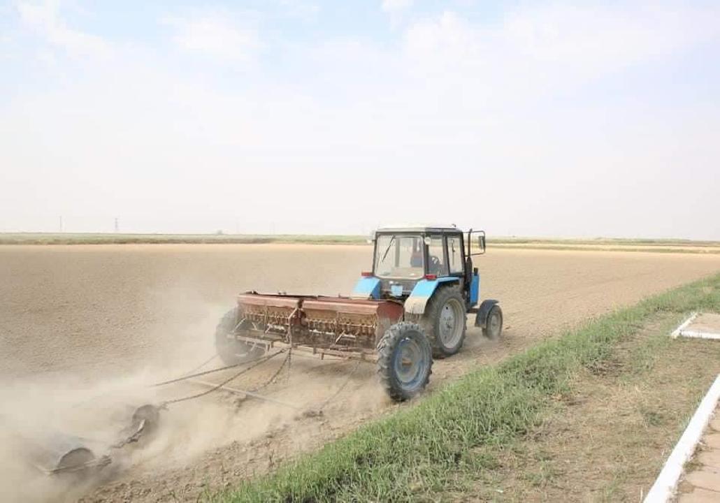 ҚЫЗЫЛОРДА ОБЛЫСЫНЫҢ АУЫЛ ШАРУАШЫЛЫҒЫ САЛАСЫН ДАМЫТУ