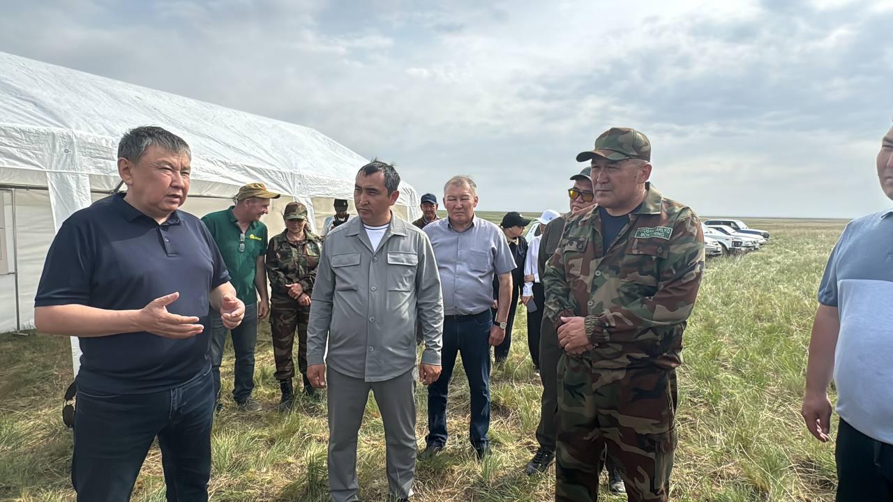 Жарқайың ауданында шегірткеге қарсы күрес жөніндегі жедел штабтың көшпелі отырысы өтті