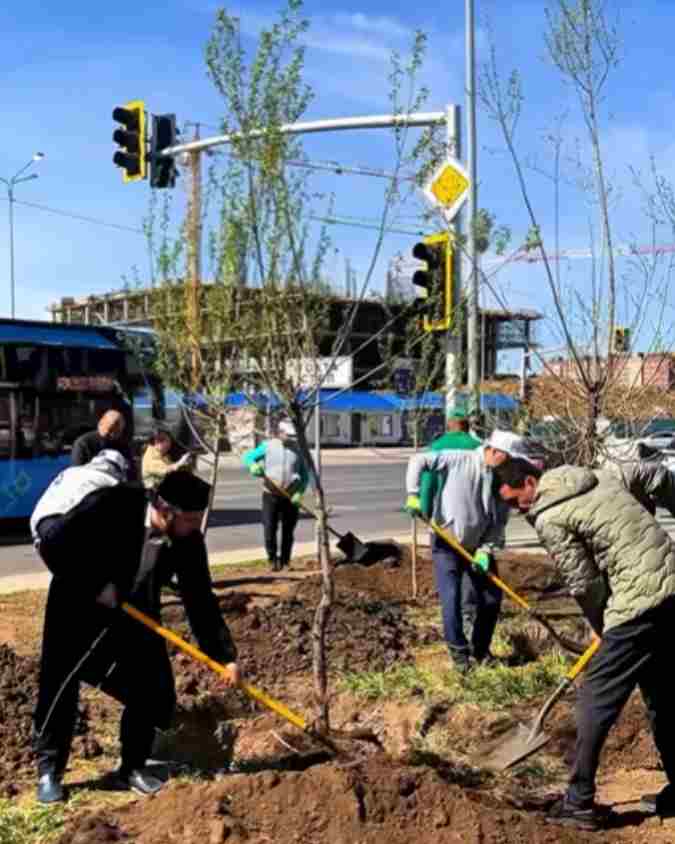 В районе Сарыарка высажено свыше 100 деревьев в честь Дня единства народа Казахстана