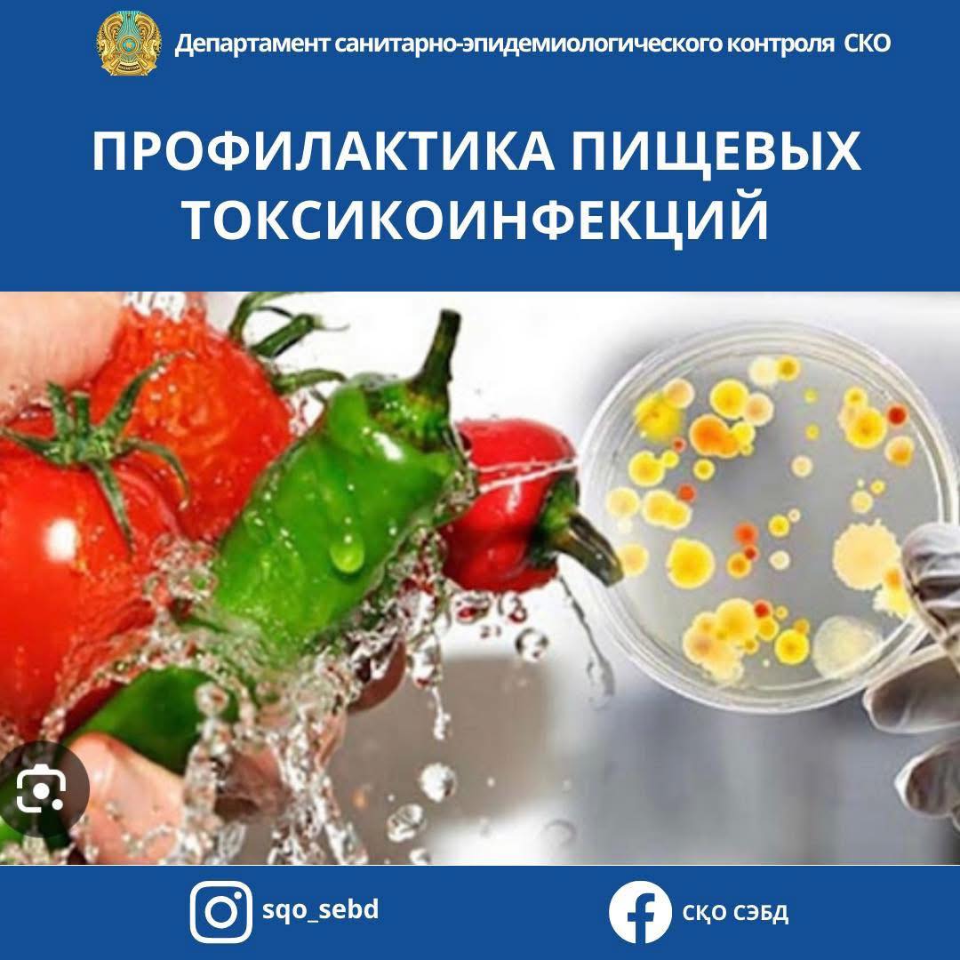 📌Профилактика пищевых токсикоинфекций.