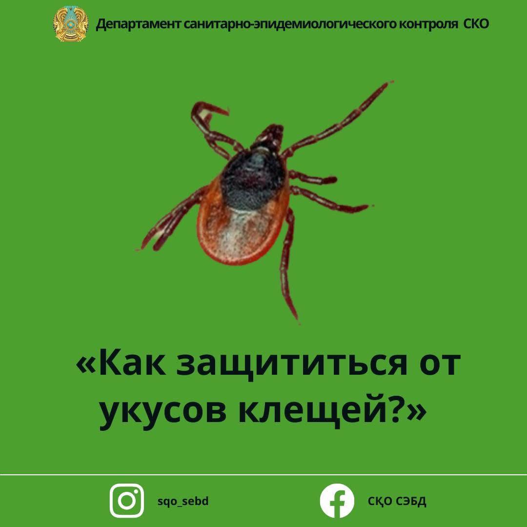 Как защититься от укусов клещей?