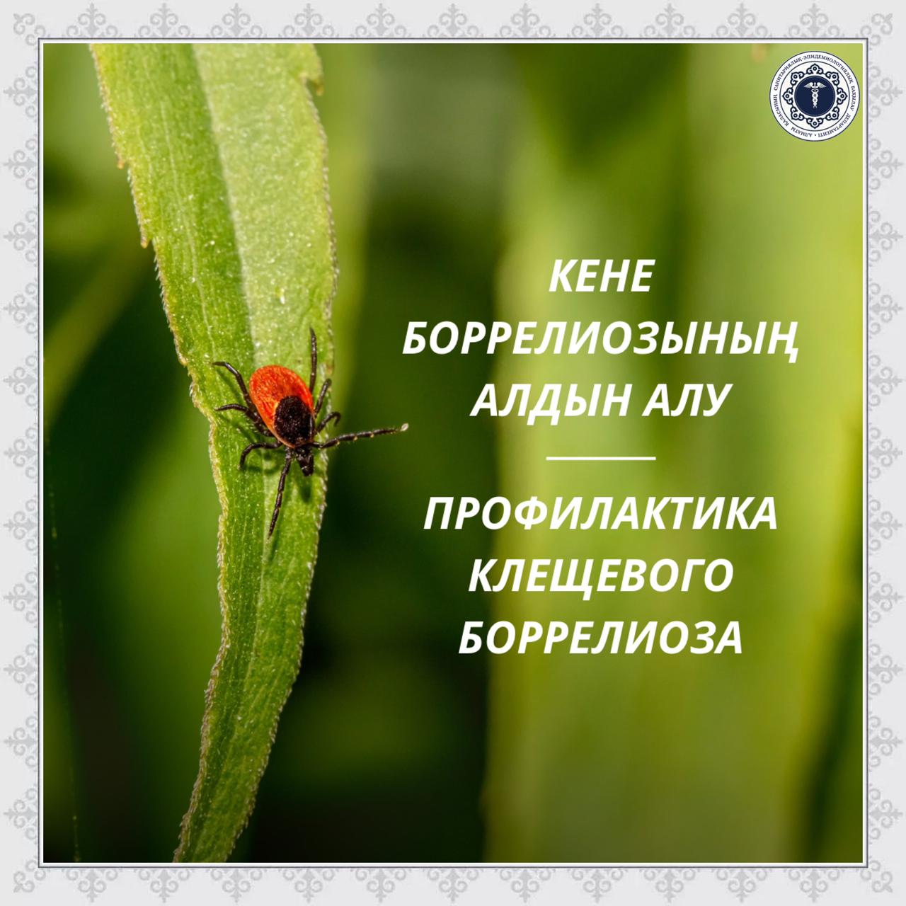 Саяжайға қарап